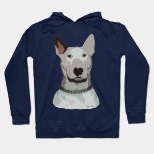 Ted Hoodie